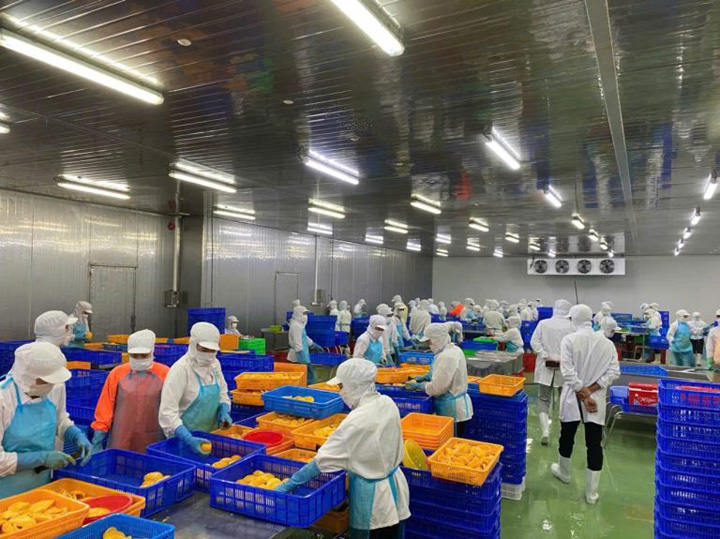 Phu Thinh Company image