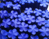 Materials for soap flowers
