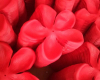 Materials for soap flowers