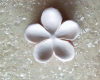 Materials for soap flowers