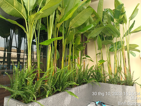 Landscape design and construction