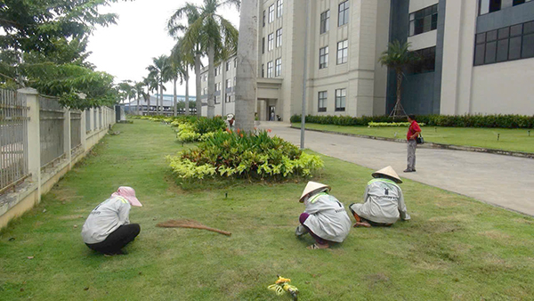 Landscape design and construction