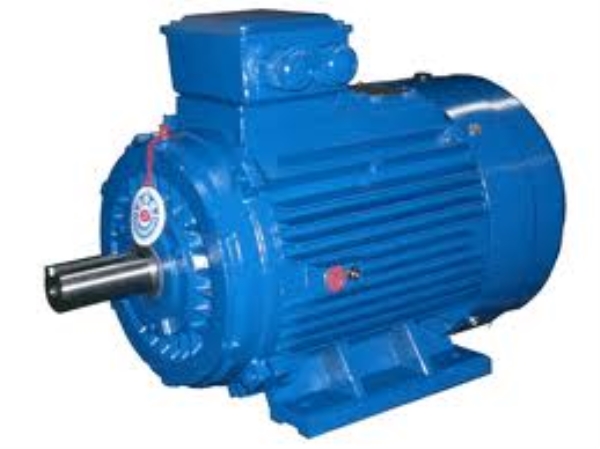 Traction motor