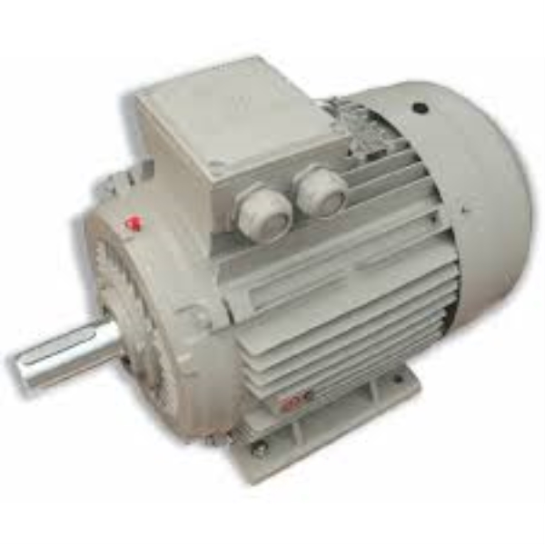 Traction motor