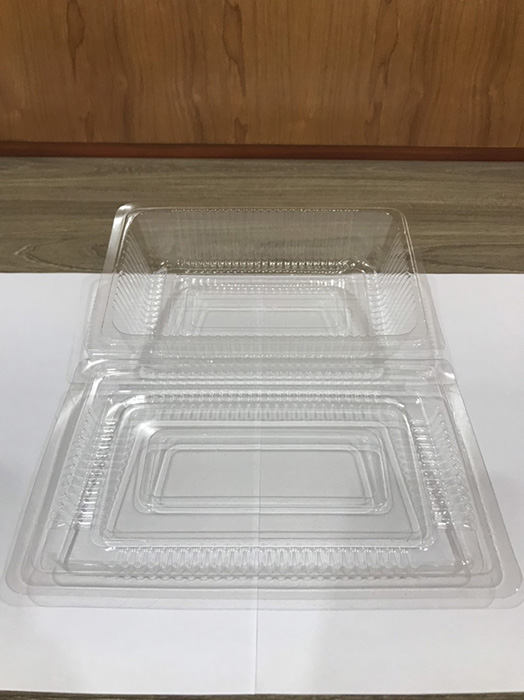 Disposable plastic folding box
