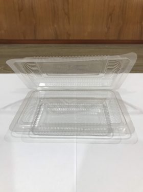 Disposable plastic folding box