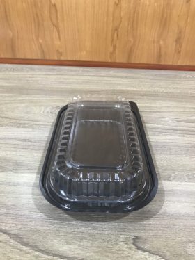 Single use lidded plastic container
