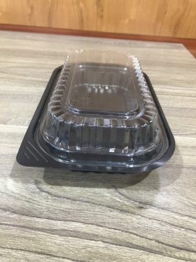 Single use lidded plastic container