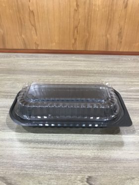 Single use lidded plastic container