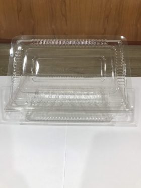 Disposable plastic folding box