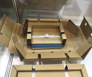 Carton Packaging