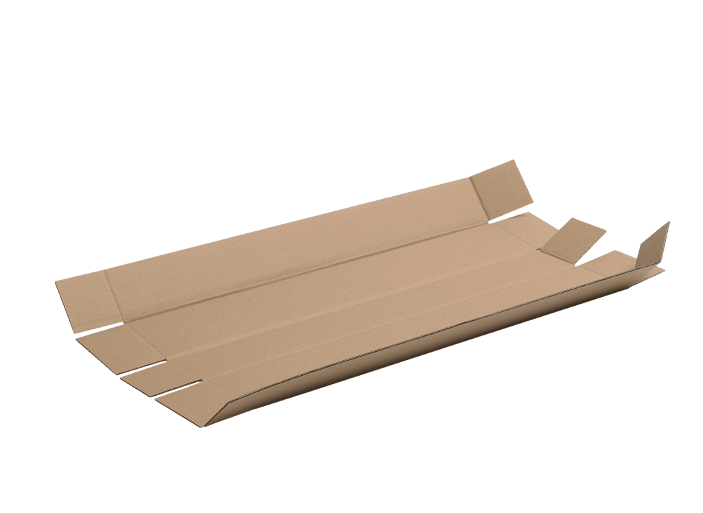 Carton Packaging