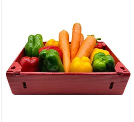 PP corrugated box for agricutural products