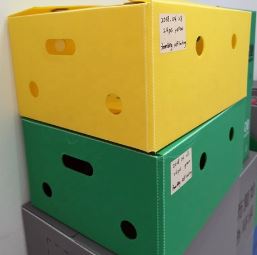 PP corrugated box for agricutural products