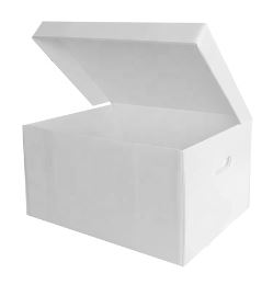 PP corrugated box for documents