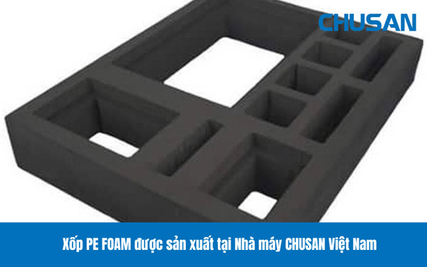 PE Foam Inserts