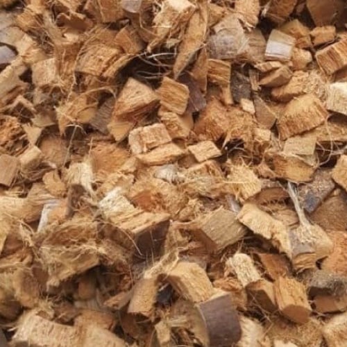 Sliced coconut shell