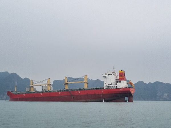 Propeller shaft seal bonding service