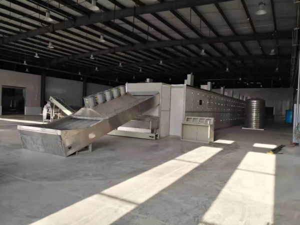 Mesh dryer
