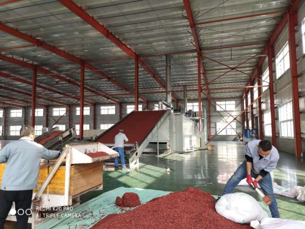 Mesh dryer