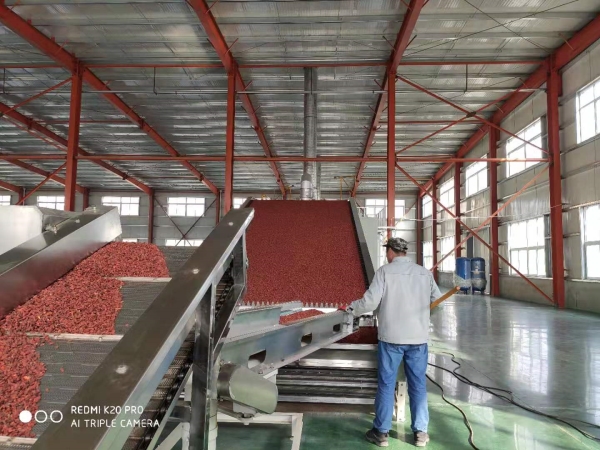 Mesh dryer