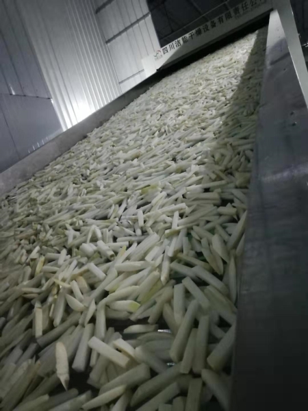Mesh dryer