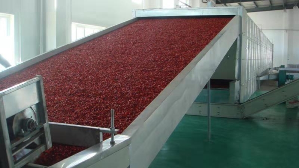 Mesh dryer