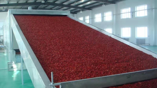Mesh dryer