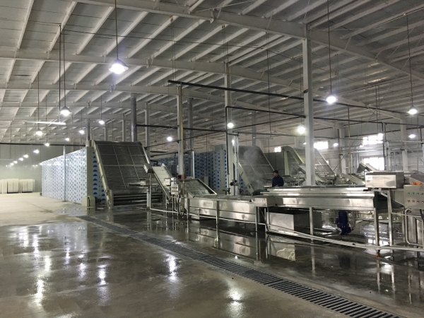 Mesh dryer