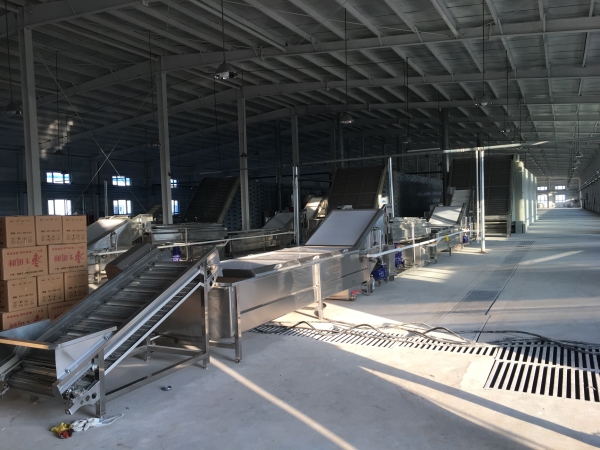 Mesh dryer