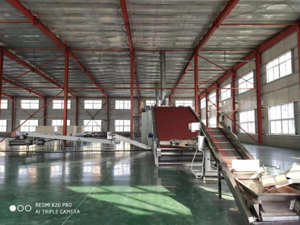 Mesh dryer