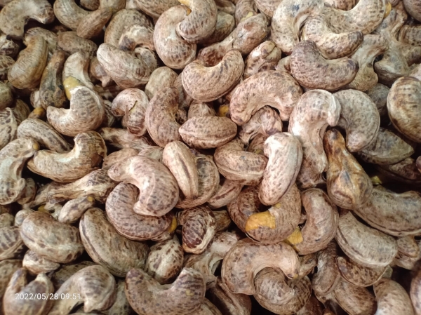 Cashew