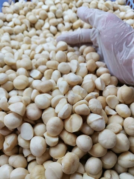 Macadamia nuts