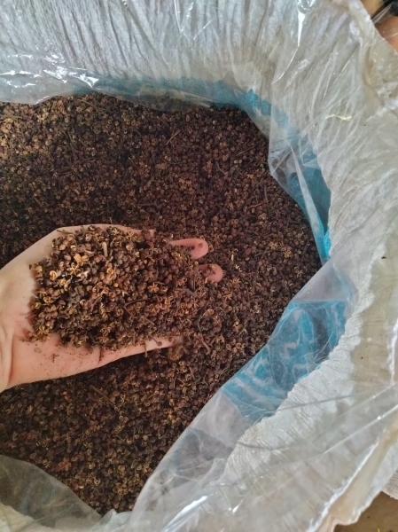 Sichuan pepper