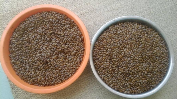 Soursop Seed