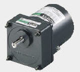 Torque motor
