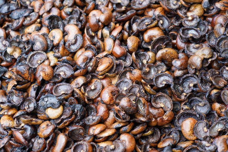 Cashew Nut Shell Residue
