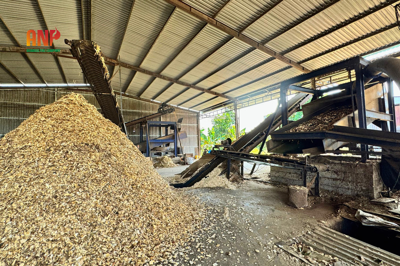 Industrial Fuels & Industrial Firewood