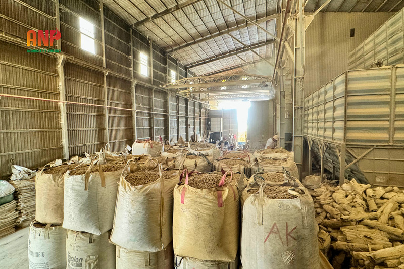Industrial Fuels & Industrial Firewood
