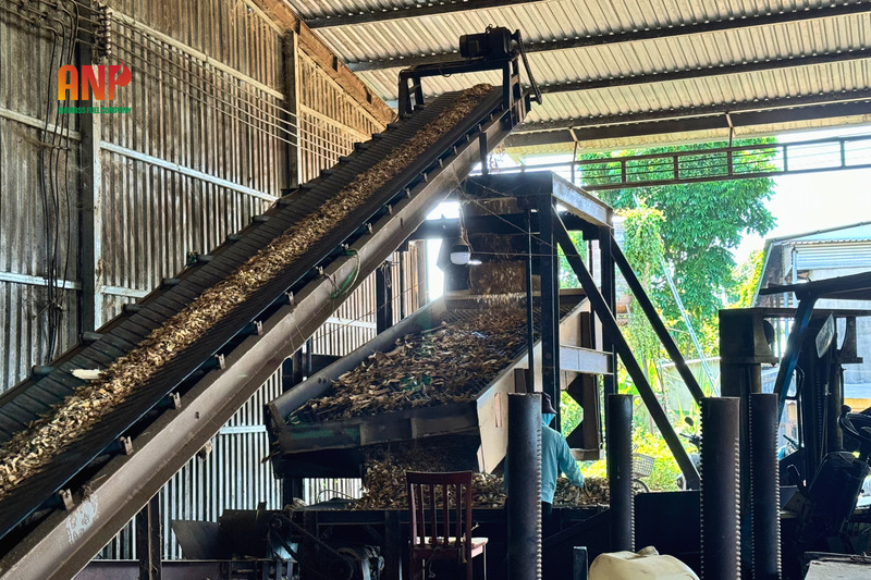Rice Husk Briquettes, Wood Pellets, Wood Chips & Sawdust