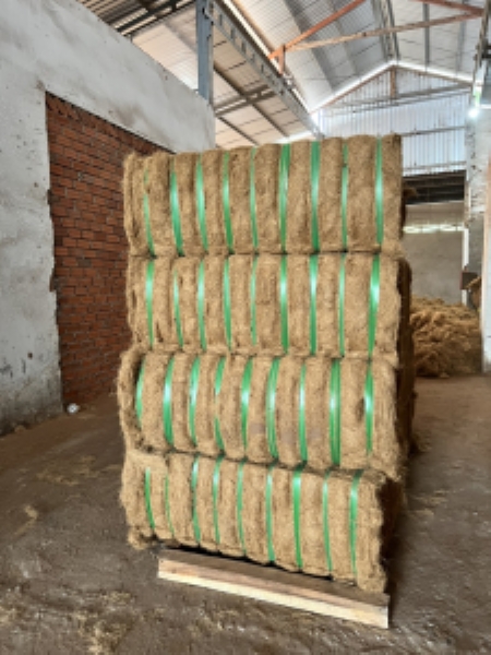 Exported coconut coir