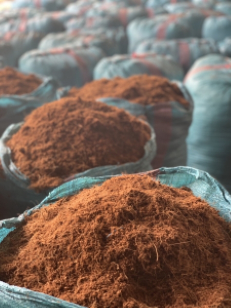 Clean coconut peat