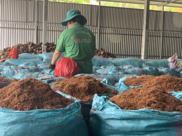 Coconut peat