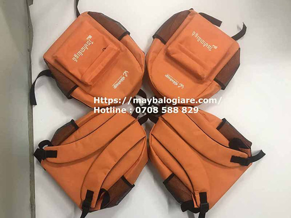 Student backpack