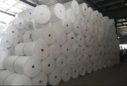 Foam