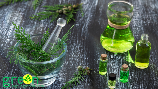 Trac Bach Diep essential oil