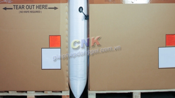 Dunnage air bag