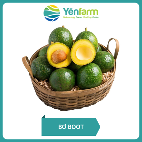 Boot avocado
