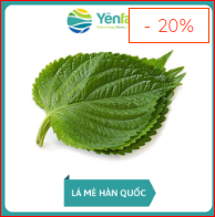Sesame leaf