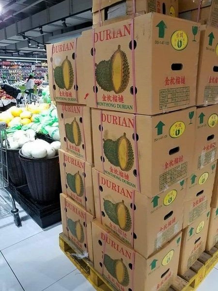 Carton box